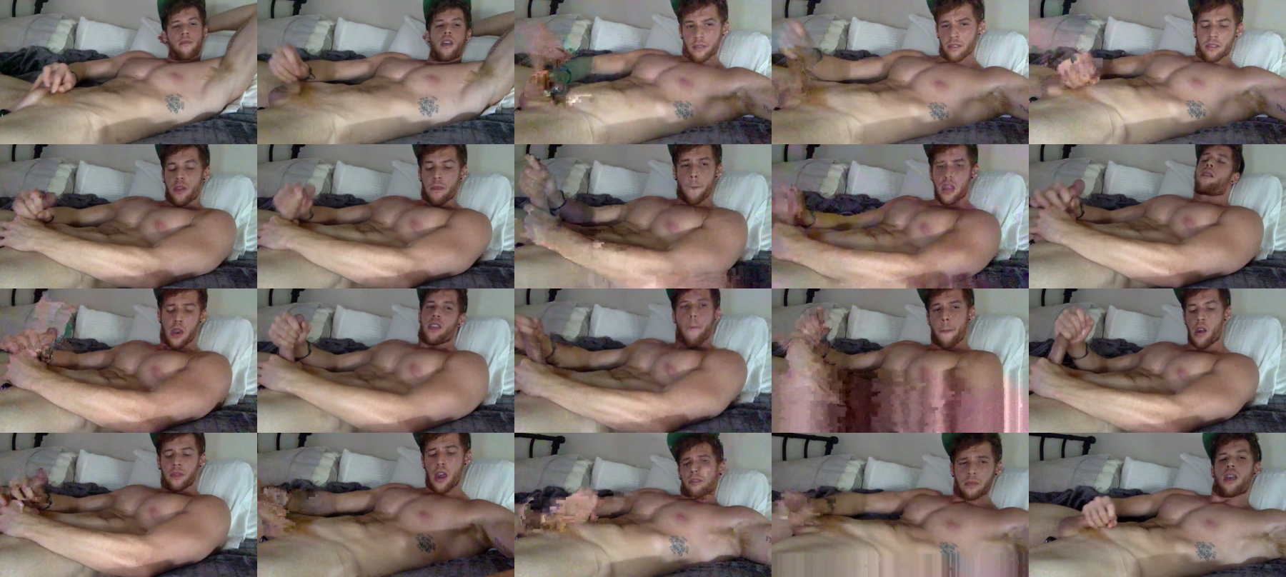 Chriswhitefans  04-09-2021